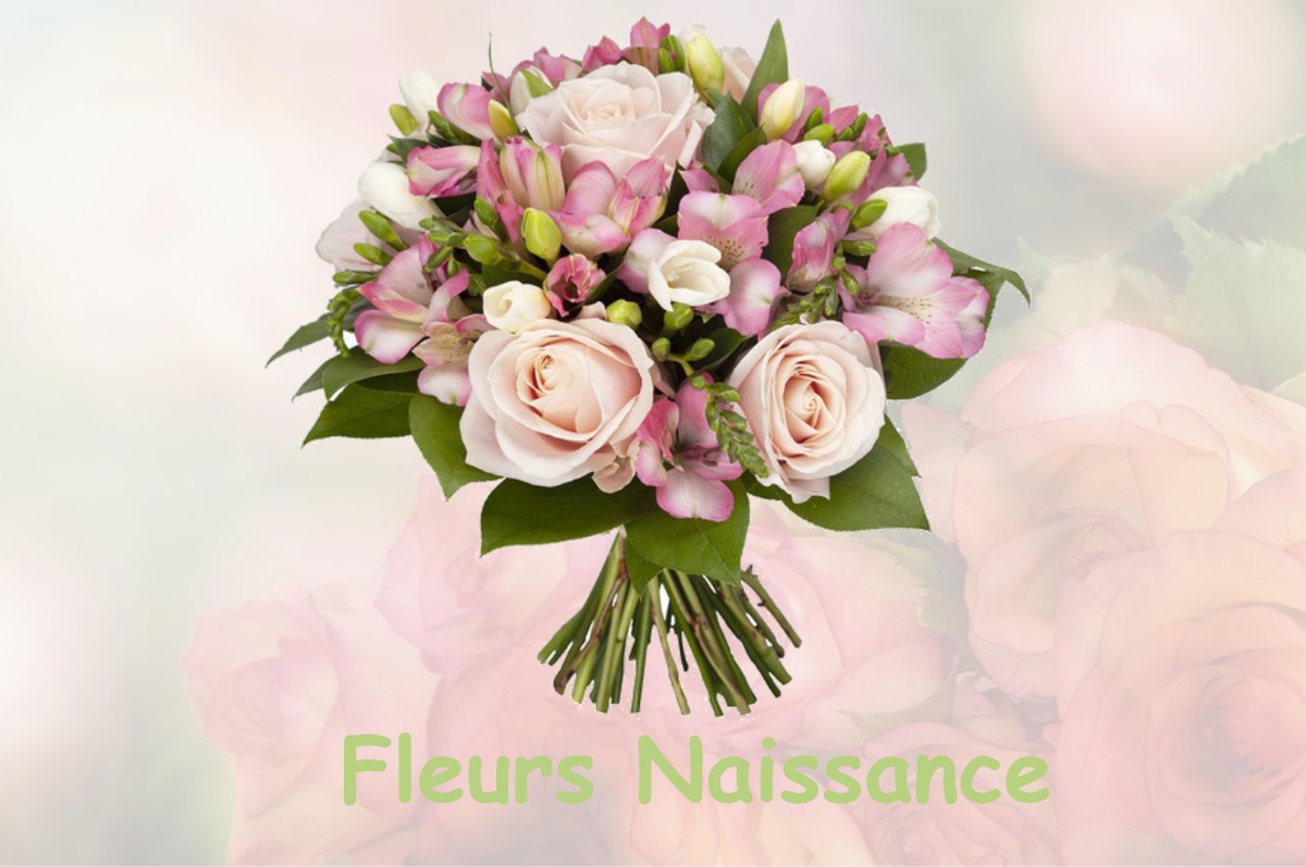 fleurs naissance LUZINAY