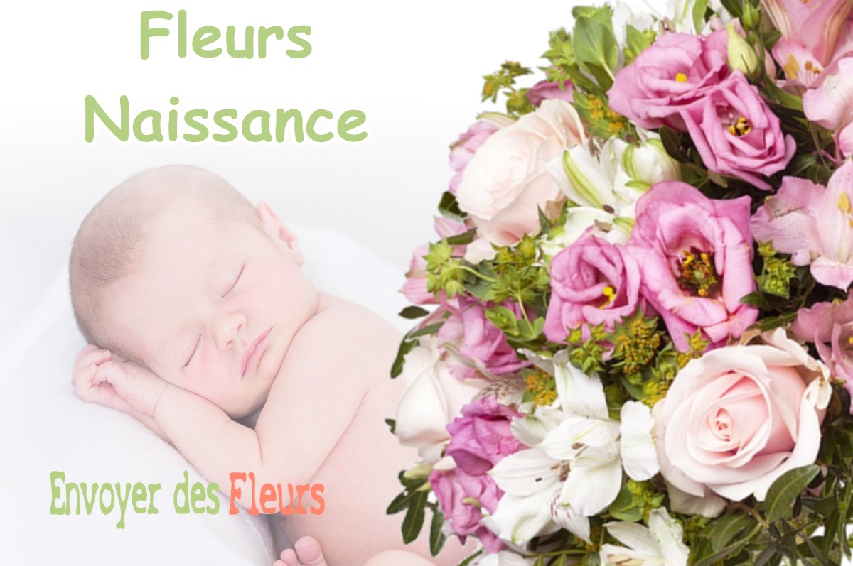 lIVRAISON FLEURS NAISSANCE à LUZINAY